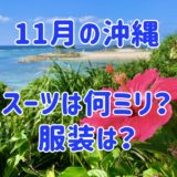【11月沖縄】適正なスーツやおすすめダイビングポイント見どころ